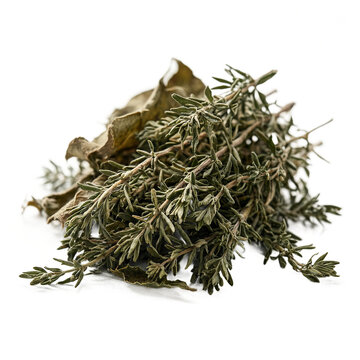 Sun-dried thyme Thymus vulgaris herbal leaves heap isolated on a transparent background for cooking