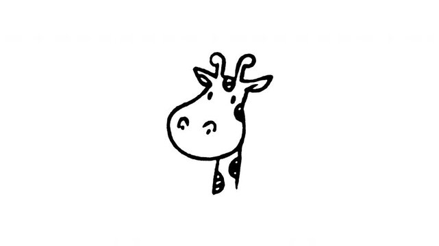 Animated 4K giraffe head doodle icon. White hand drawn line art on black and green screen backgrounds for tall giraffe, safari wildlife, spotted mammal, African zoo animal video edits.
