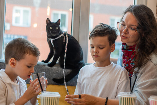 A Caucasian woman, her two sons, and a cat are having lunch at a cafe. Pet friendly.