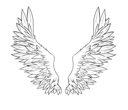 Angel wings line art with detailed feathers, symmetrical fantasy illustration
