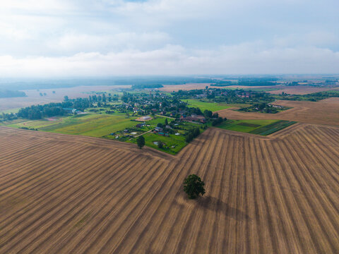 Aerial view of a rural landscape with harvested fields, a small village, and a lone tree in the foreground in Jaunberze, Dobele Municipality, Latvia.