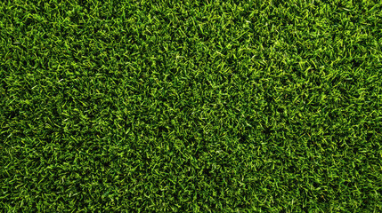 Obraz premium Top down view of vibrant green grass texture forming a natural background