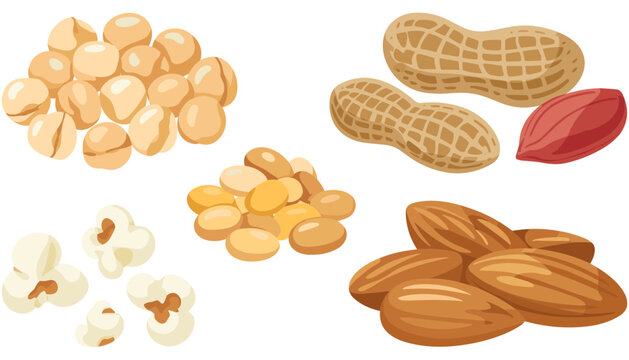 Healthy nuts flat vector illustration pack. Almonds, peanuts, soy beans, chickpeas, and popcorn kernels create a detailed snack assortment.