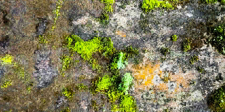 Mosaic glitch pixel abstract green yellow texture background