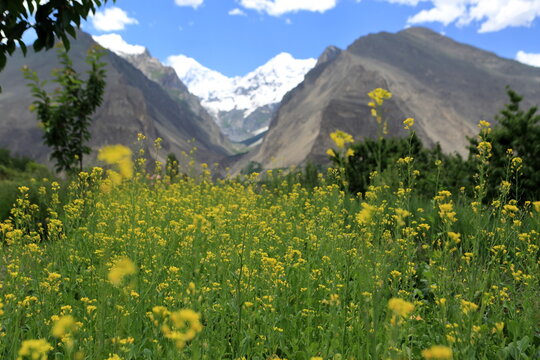 Scenic view of Hunza Valley in northern Pakistan with the majestic Rakaposhi Mountain rising above the surrounding landscape, showcasing dramatic Karakoram peaks, lush valleys, traditional settlements