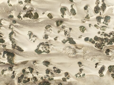 Sand hummocks caused by dwarf shrubs. Aerial view. Drone shot. Namib Desert, Skeleton Coast, Namibia