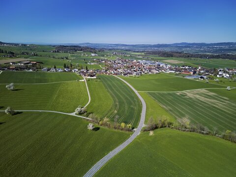 Blooming fruit trees behind the village, Auw, Freiamt, Canton Aargau, Switzerland