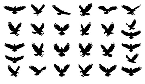 Flying Eagle Silhouette Collection &ndash; Black Bird of Prey Vector Icons Isolated on White Background