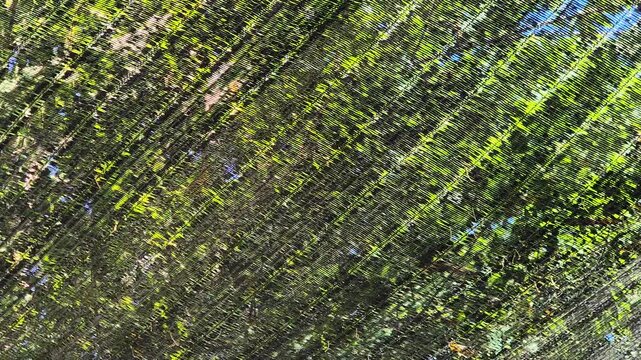 Sunlight filtering through green shade net cloth mesh in agricultural garden