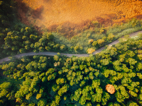 Aerial view of the Dieng plateau landscape featuring a winding road cutting through dense green forests and golden fields under warm sunlight Kejajar, Central Java, Indonesia.