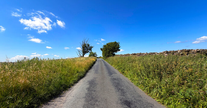 A quiet country road winds into the distance, bordered by tall grass and scattered trees. The clear blue sky adds to the calm, picturesque charm of the rural landscape on Leys Lane in Glusburn, UK.