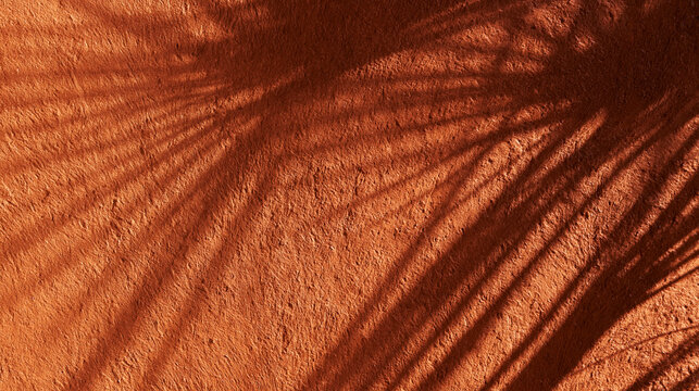 Palm Leaf Shadow on Terracotta Textured Wall