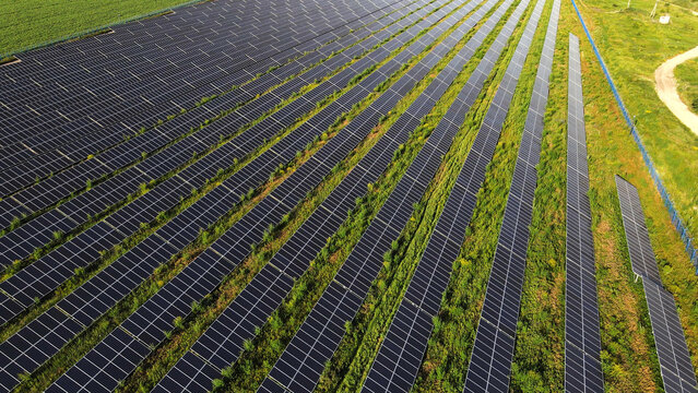 Solar farm with rows of panels generating electricity, contributing to green energy and a sustainable environment