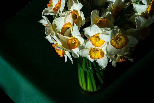 Bouquet of White Daffodils with Orange Center in Glass Vase on Green Background