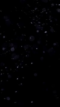 Blue Floating Particles on Dark Background. Soft glowing particles drift through darkness, creating an atmospheric abstract bokeh effect.