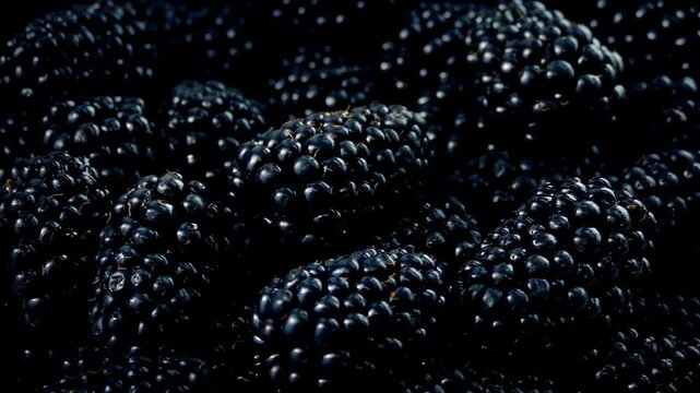 Fresh ripe organic black mulberries background dark moody texture