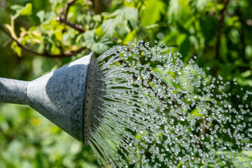 Metallgießkanne, die Wasser versprüht © Martin