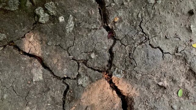 Weathered cracked ground illuminated by dappled sunlight, realistic dry earth texture background for climate, drought, geology, sustainability, and nature-themed productions.