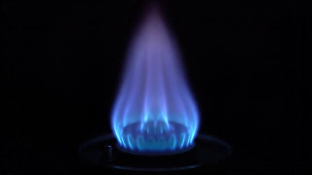 Steady blue gas flame burning on a burner against a deep black background for energy