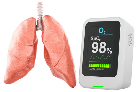 Pulse oximeter showing normal blood oxygen level beside human lungs, transparent background.