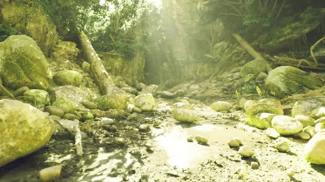 Shallow rocky stream sparkling under sunlight, clear water weaving between boulders and pebbles, glints on wet surfaces and tranquil freshness.