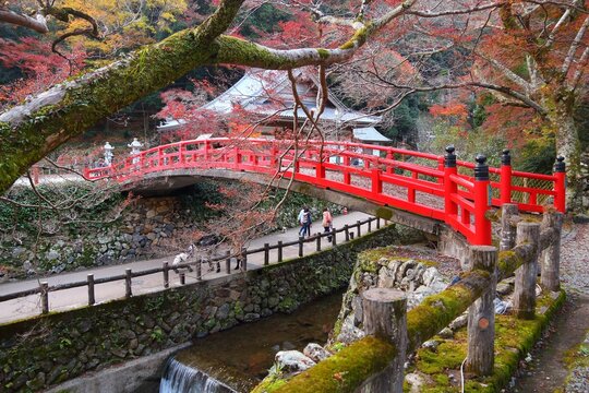 Meiji no Mori Mino Quasi-National Park, famous autumn leaf destination in Osaka Prefecture in Japan. Place of scenic beauty.