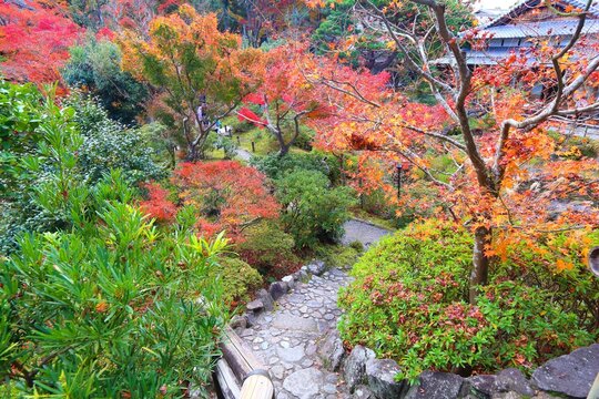 Nara, Japan. Fall colors in Japanese garden. Yoshikien Garden.