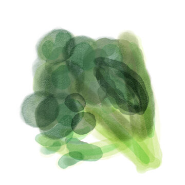 Soft Watercolor Illustration of Broccoli on White Background