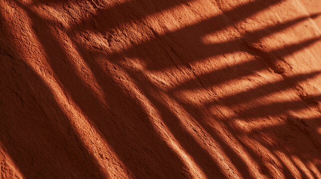 Palm Leaf Shadows on Terracotta Clay Wall Surface