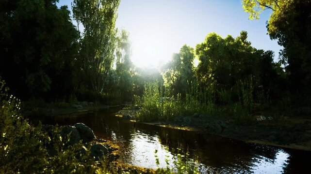 Sunlit riverbank at golden hour, lush willows reflect in calm water with soft lens flare and warm atmosphere, tranquil composition ideal for meditation scenes