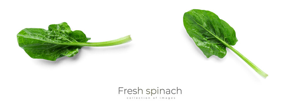 Fresh spinach on a white background