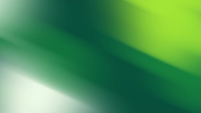 Color palette swatch swatches scheme harmony hex template vector guide codes neon vibrant gradient fluid liquid
