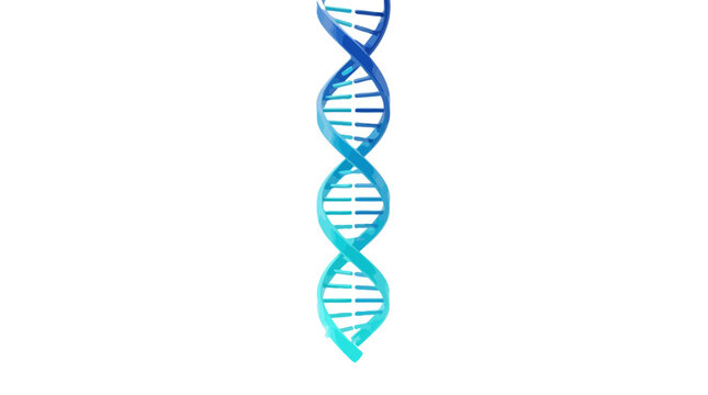 Glowing blue dna double helix structure rendered with digital nodes in a smooth minimalist studio setting