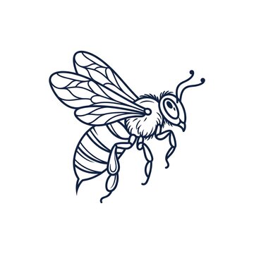 Vintage honey bee line art illustration, hand drawn bumblebee sketch on white background, detailed insect engraving for organic branding