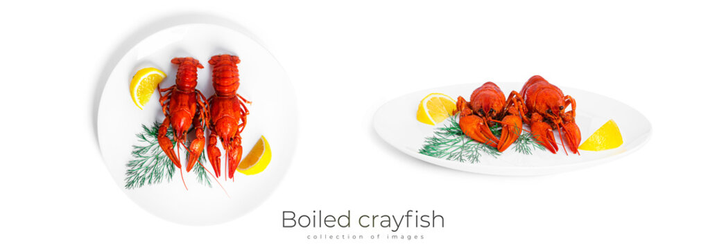 Boiled crayfish with dill and lemon isolated on a white background.