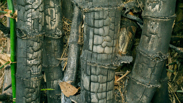 Close up shot of natural black bamboo charcoal texture for wellness and skincare product background