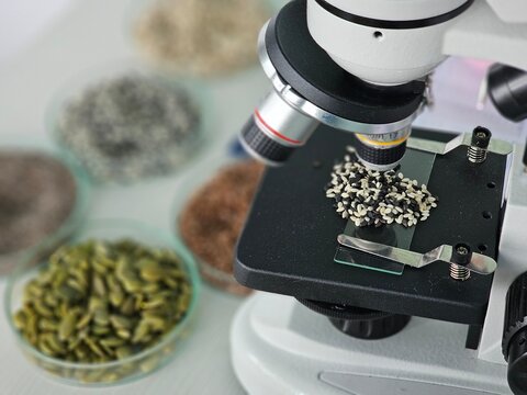 Microscope focusing on different seeds with various types