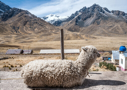 Abra La Cuesta, Regi&atilde;o de Puno  Arequipa, Peru