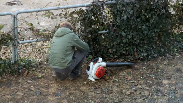 A gardener in a green jacket crouching to trim ivy near a metal fence, using a leaf blower for professional grounds maintenance and outdoor yard cleanup in a residential environment