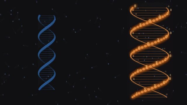 Digital dna strands rotating in motion with glowing binary code for this scientific motion video clip