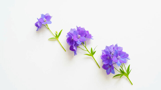 Three purple bellflower stems arranged diagonally on white background
