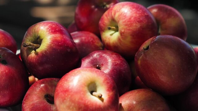 Large pile of ripe red apples with smooth skin and natural texture, representing fresh seasonal fruit, autumn harvest, healthy eating, and farm produce. . High quality 4k footage