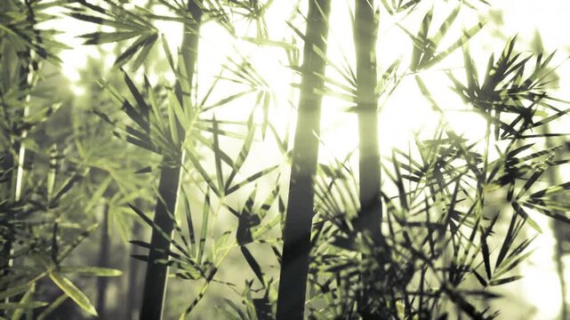Backlit bamboo grove with glowing stems and translucent leaves, strong silhouettes of tall culms and highkey halo light creating crisp natural texture modern