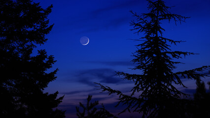 Blue hour time with crescent Moon, stars and planets above landscape silhouettes. © astrosystem