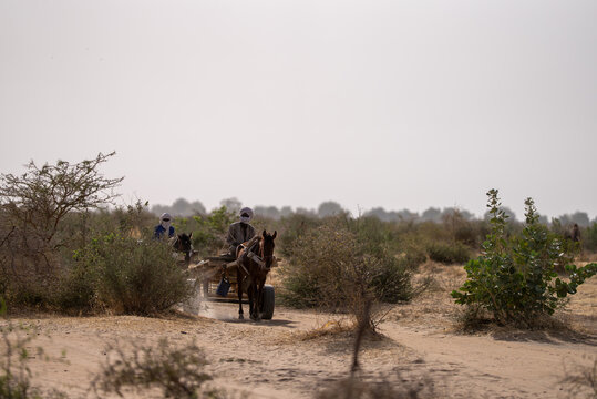 Desert scrubland under hazy sky. Two people ride horse-drawn cart through arid terrain. Dusty path winds between sparse bushes. Horse trots steadily, pulling heavy load. Scene evokes quiet travel