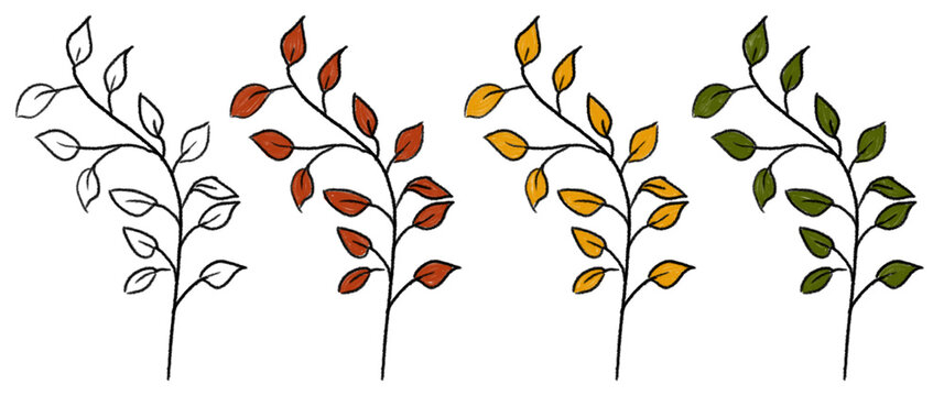 Various plants are arranged in different colors representing different seasons. Each plant shows unique leaf color changes that occur throughout the year.