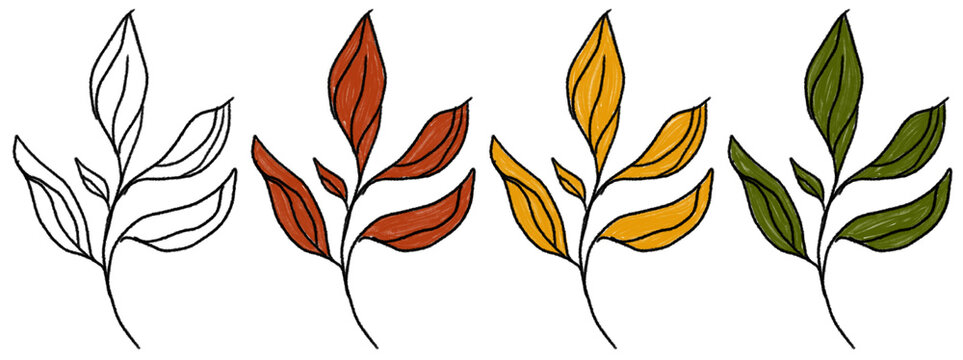 Against a transparent background, various plants are depicted in four colors: white, orange, yellow, and green. Each color symbolizes a different season, highlighting the changes that occur over time.