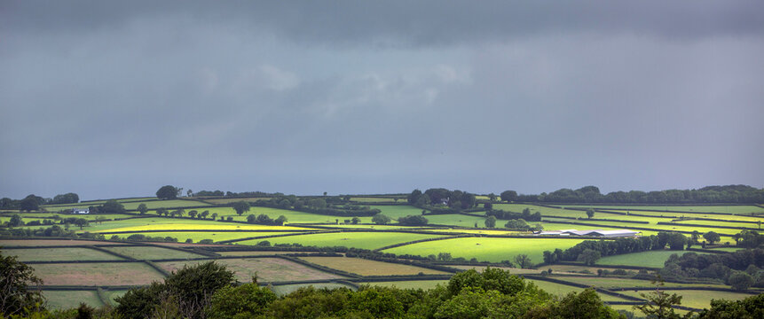 beautiful landscape with trees and fields seen from dartmoor hills in devon