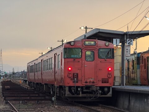 駅に停車している日本のローカル鉄道