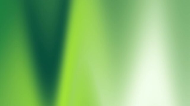 Color palette swatch swatches scheme harmony hex template vector guide codes neon vibrant gradient fluid liquid